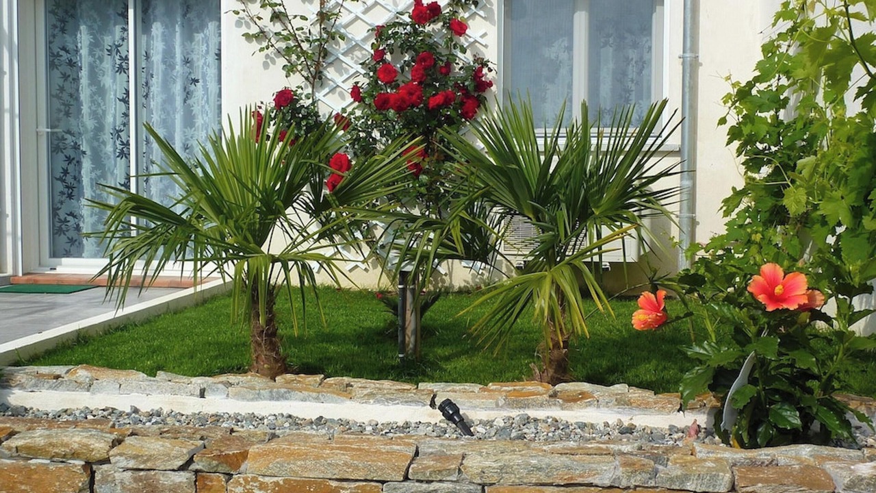 Photo of Outdoor in Penta-di-Casinca