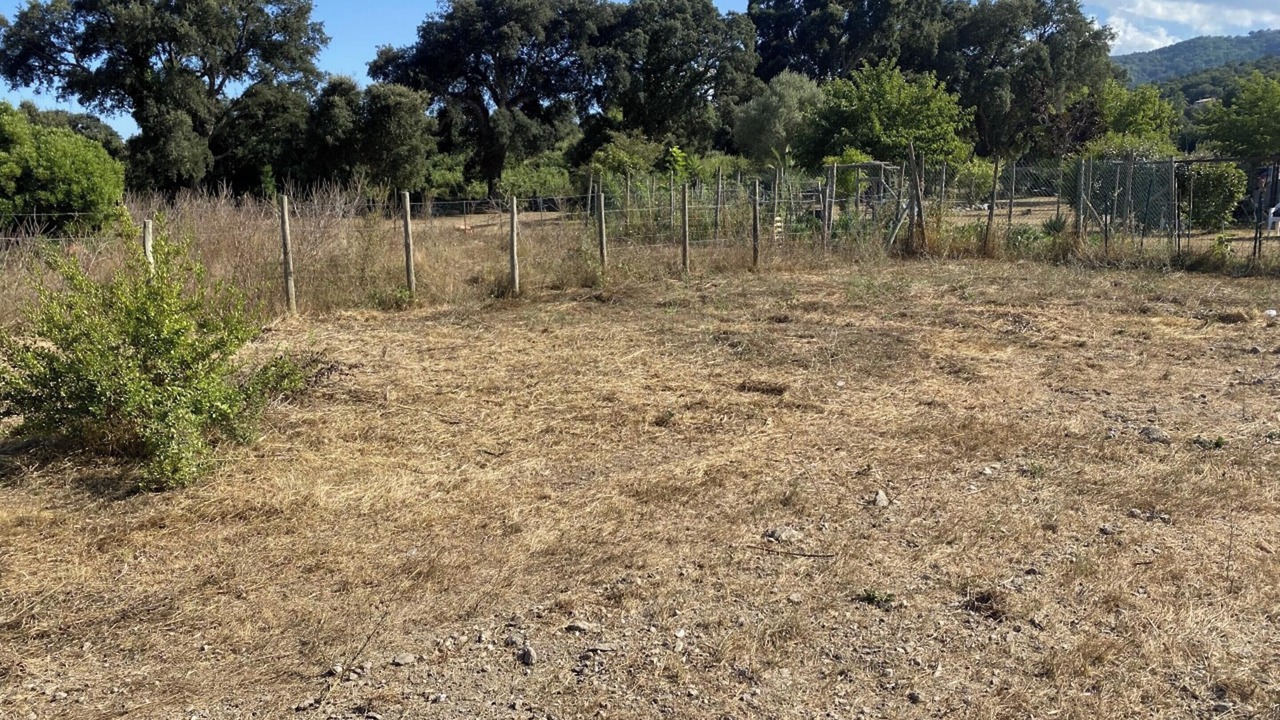 Photo of Outdoor in Serra-di-Fiumorbo