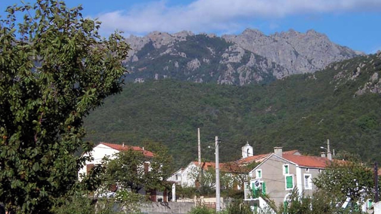 Photo of Others in Isolaccio-di-Fiumorbo