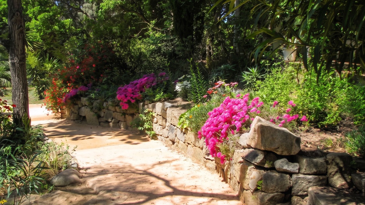Photo of Outdoor in Isolella