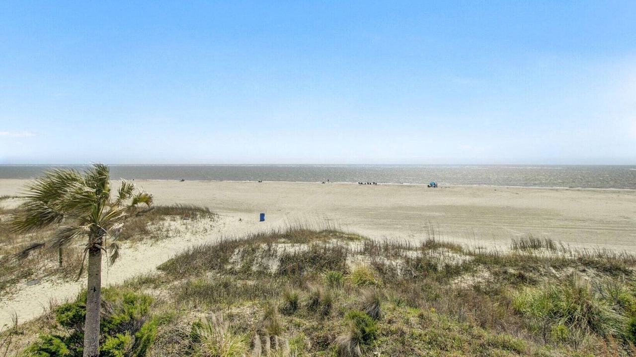 Photo of Others in Isle of Palms