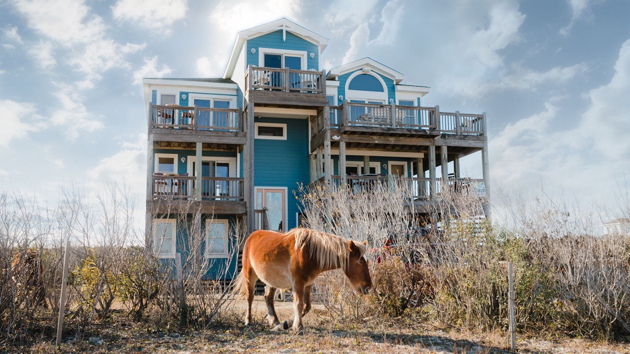 Photo of Outdoor in Carova Beach