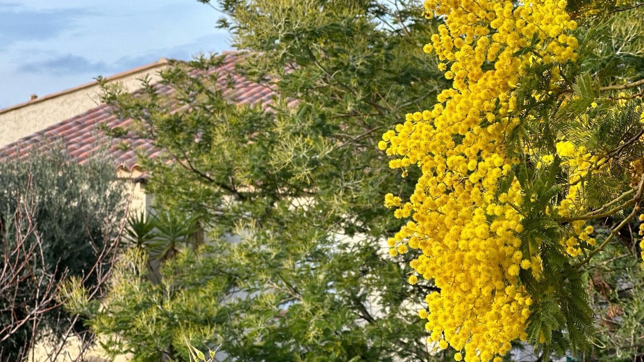 Photo of Outdoor in L'Ile-Rousse