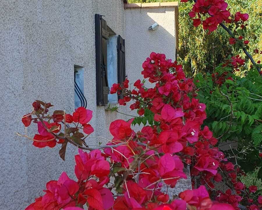 Photo of Outdoor in Vico
