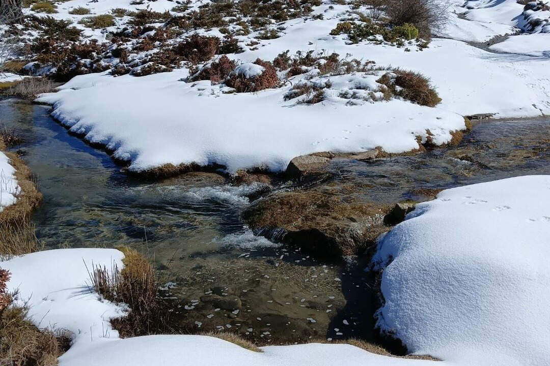 Photo of Outdoor in Zicavo