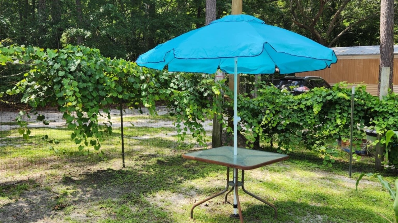 Photo of Outdoor in Colleton County