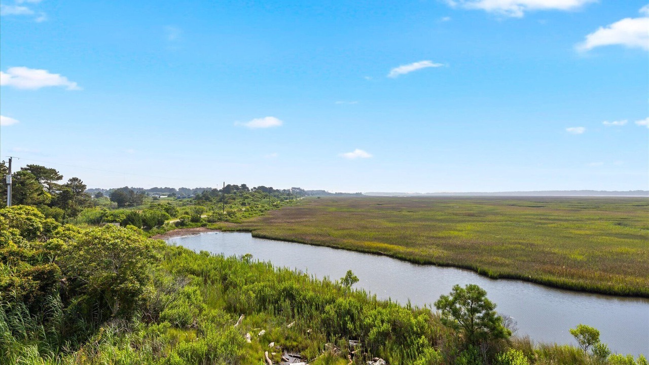Photo of Others in Chincoteague