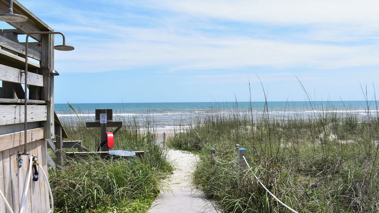 Photo of Others in Pine Knoll Shores