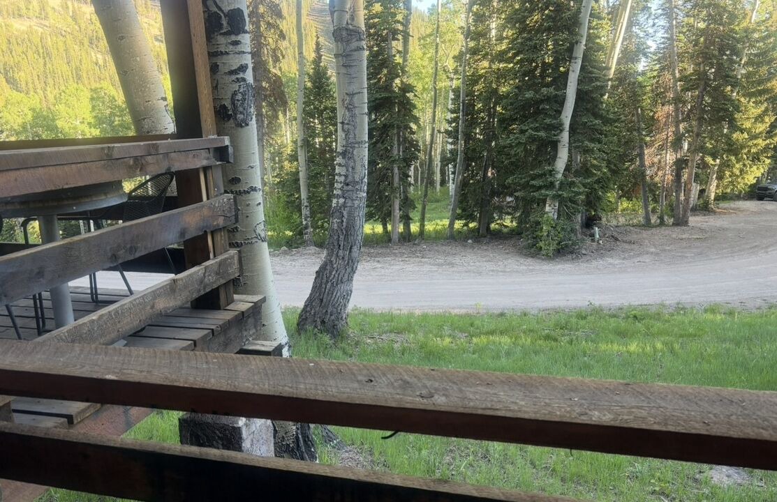 Photo of Outdoor in Beaver