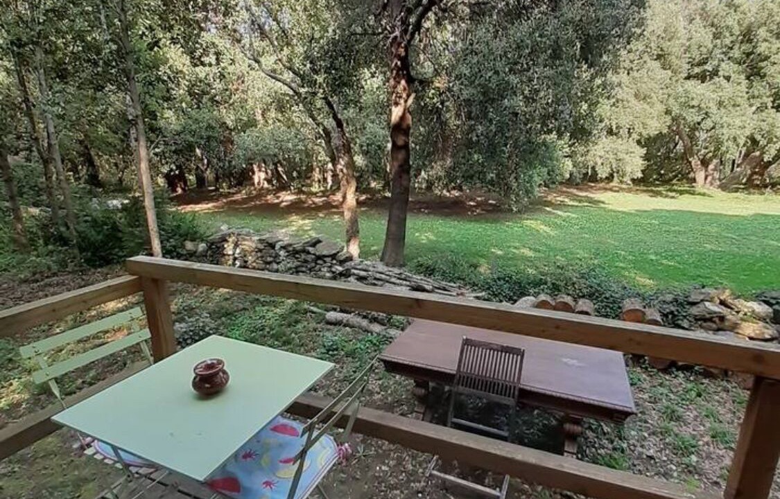 Photo of Outdoor in Sisco