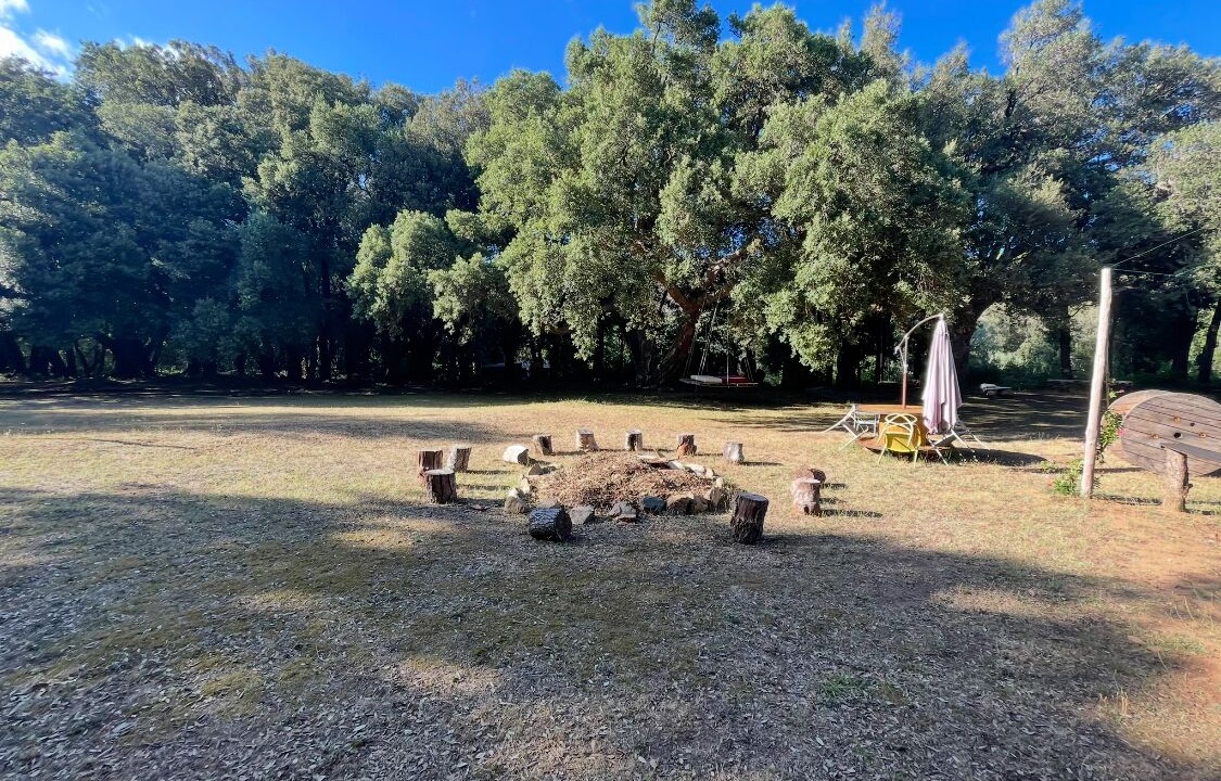 Photo of Outdoor in Sisco