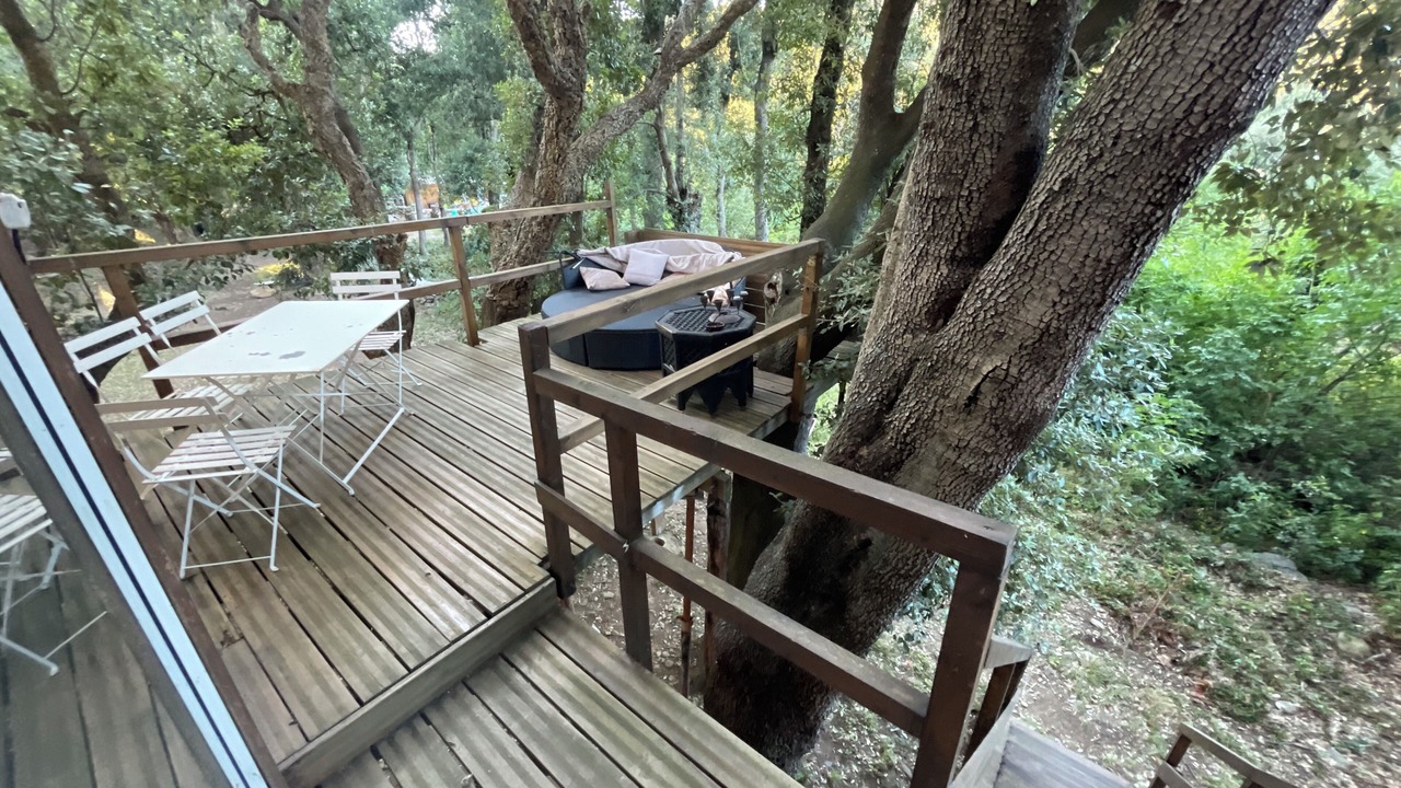 Photo of Outdoor in Sisco