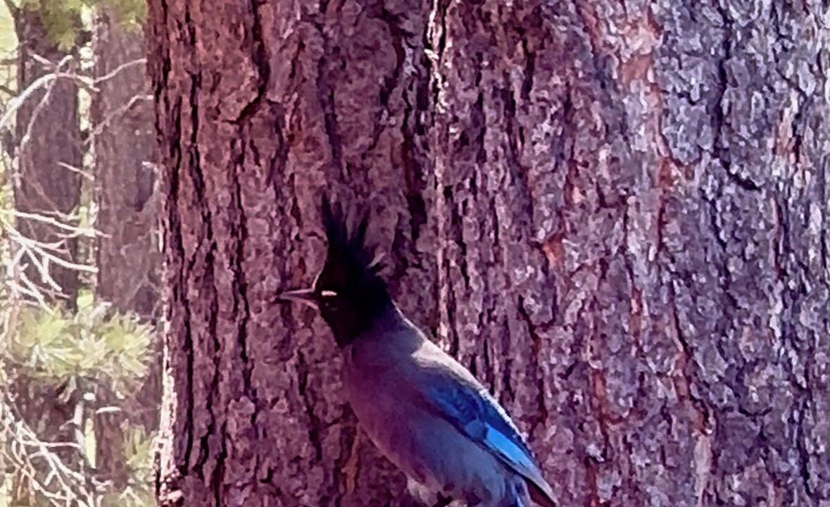 Photo of Others in Payson