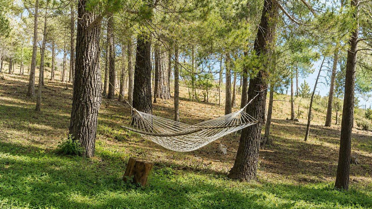 Photo of Outdoor in Payson
