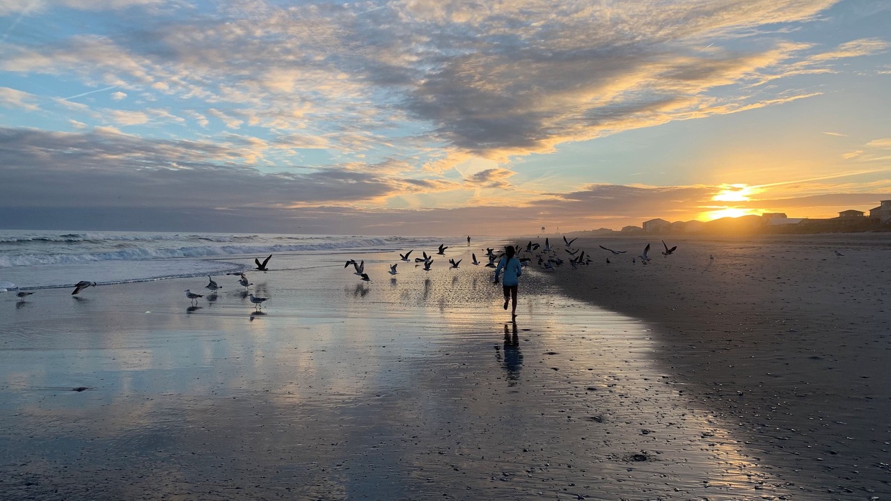 Photo of Others in Topsail Beach