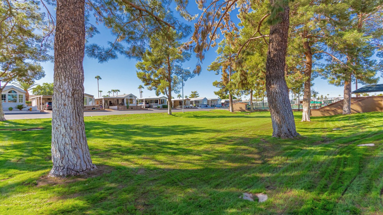 Photo of Outdoor in Mesa