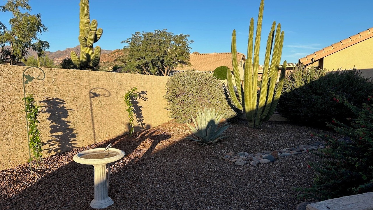 Photo of Outdoor in Gold Canyon