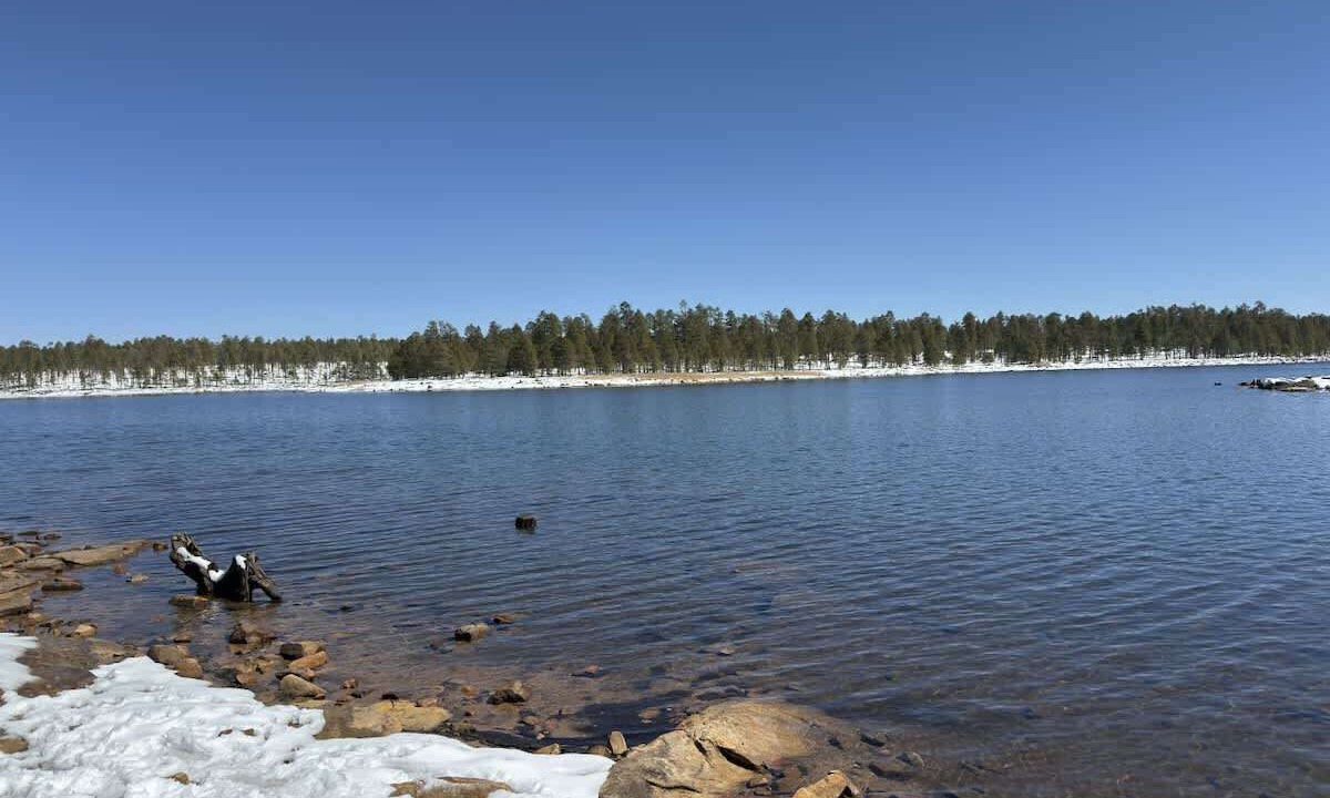 Photo of Others in Heber