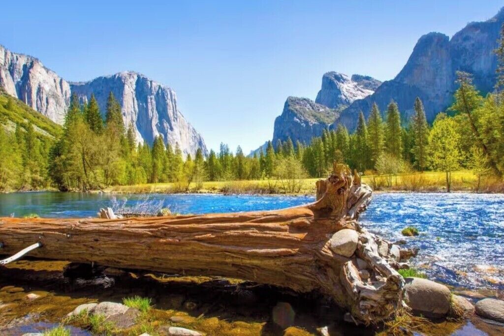Photo of Others in Tulare