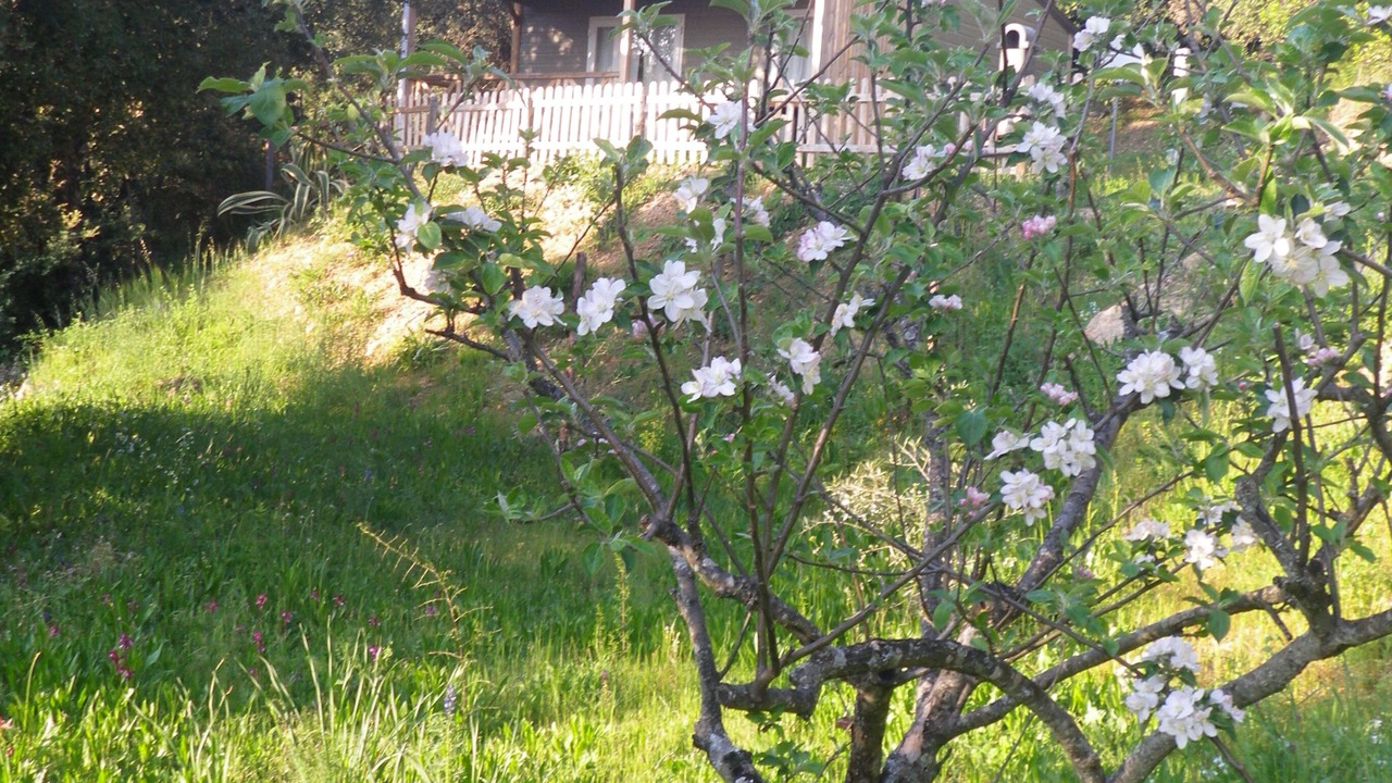 Photo of Outdoor in Vico