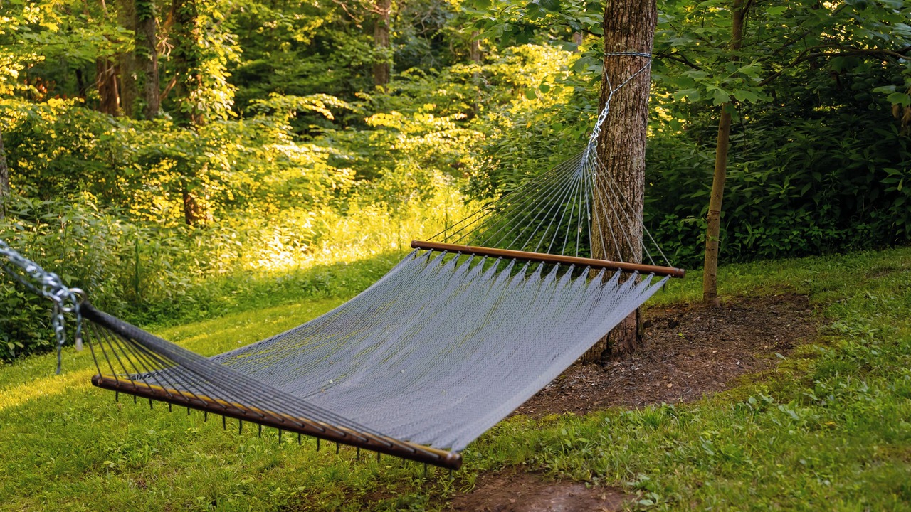 Photo of Outdoor in Shoals