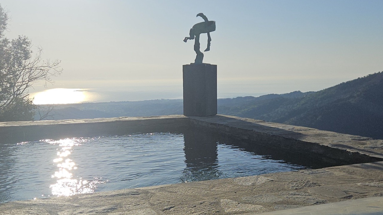 Photo of Outdoor in Porri