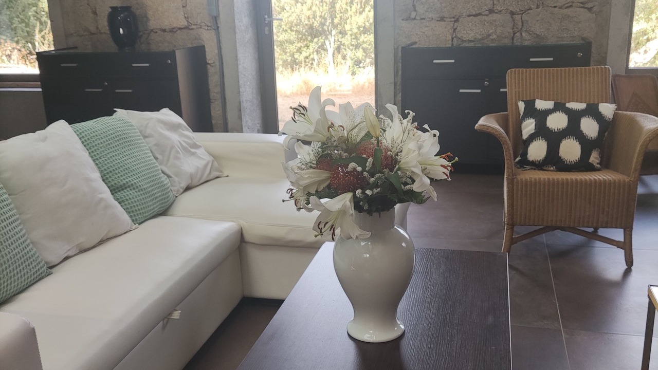 Photo of Livingroom in Sartene