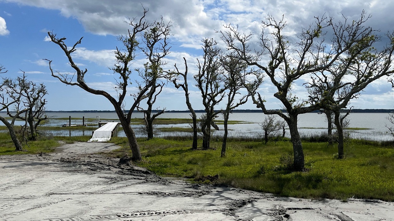 Photo of Others in Beaufort