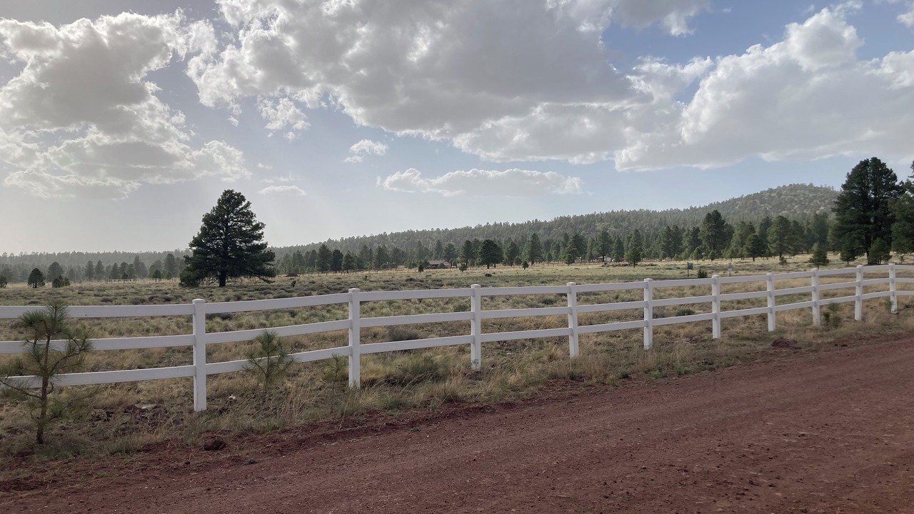 Photo of Others in Williams