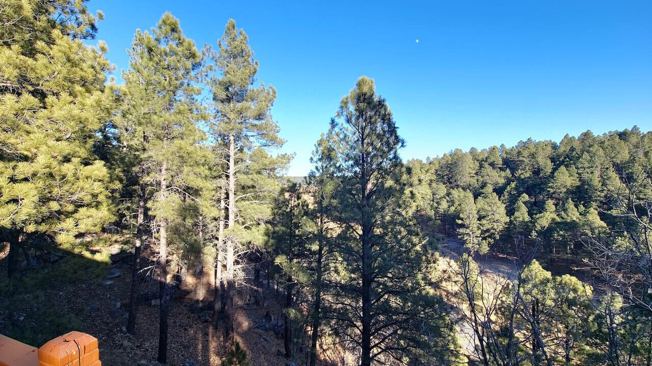 Photo of Others in Kachina Village