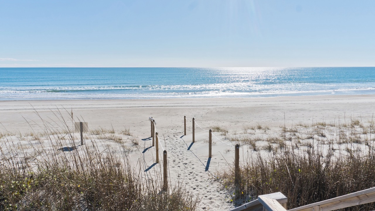 Photo of Others in Pine Knoll Shores
