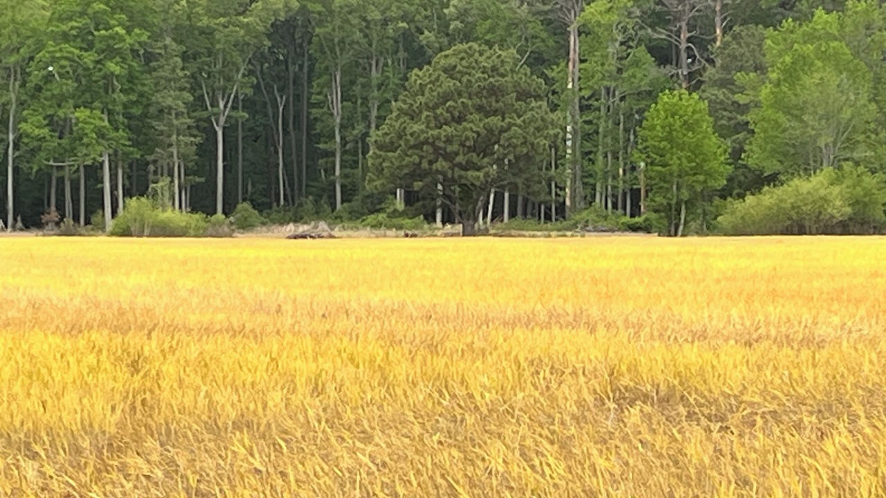 Photo of Others in Unionville