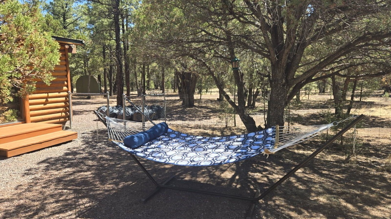 Photo of Outdoor in Eagar