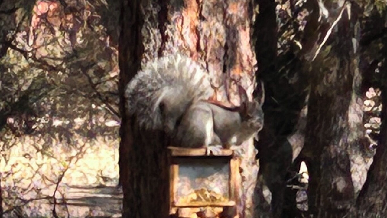 Photo of Others in Eagar