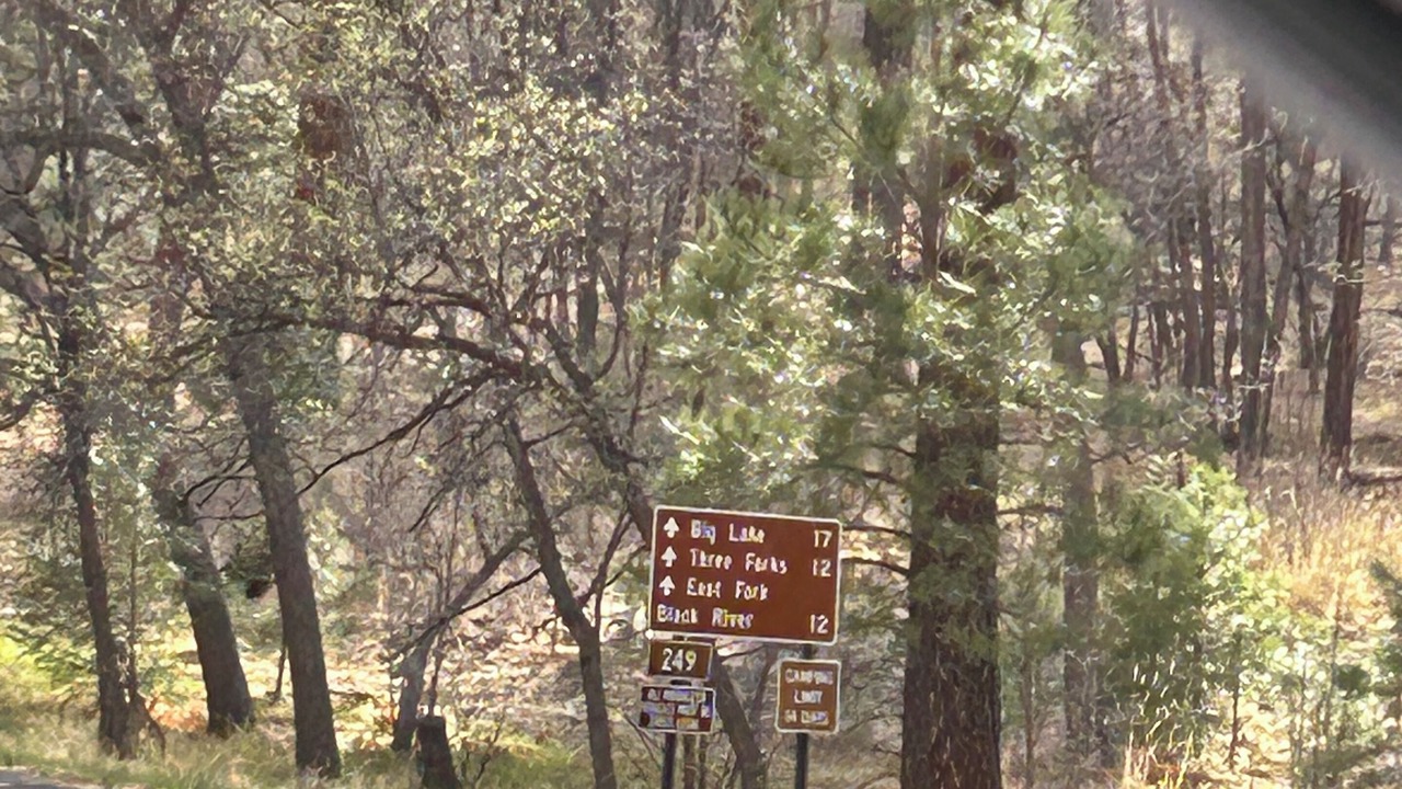 Photo of Others in Eagar