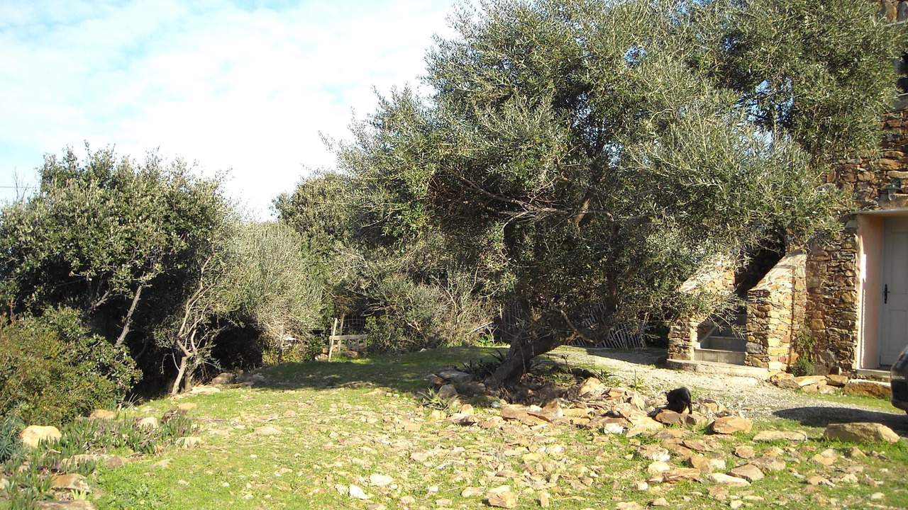 Photo of Outdoor in Barcaggio