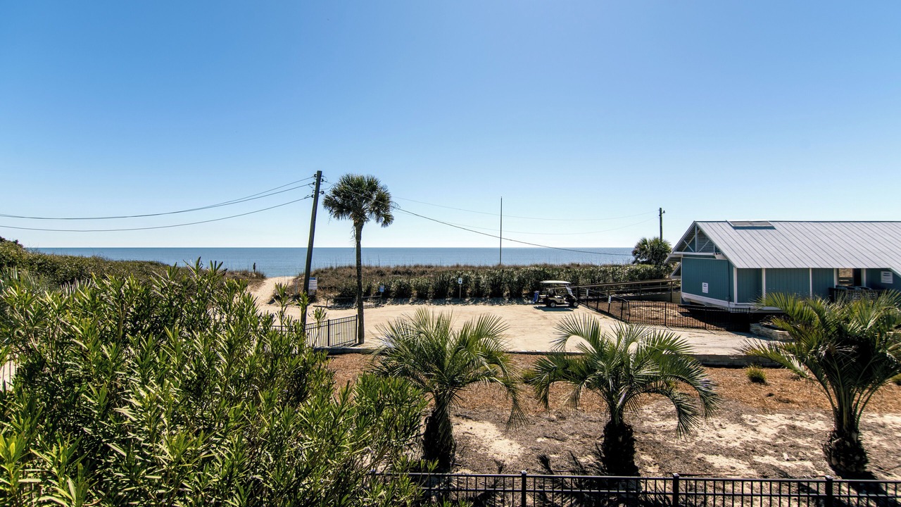 Photo of Outdoor in Edisto Island