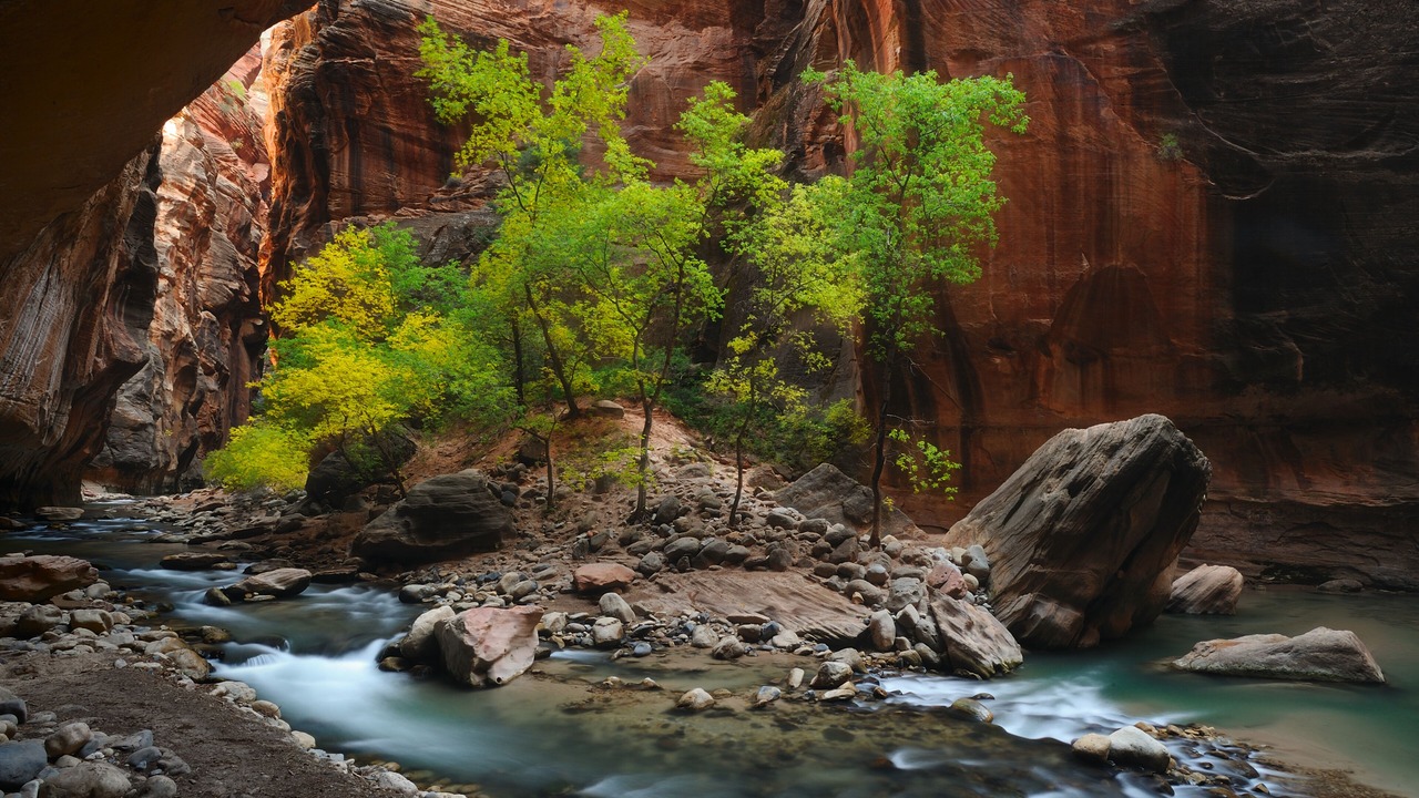 Photo of Others in Zion National Park East Entrance
