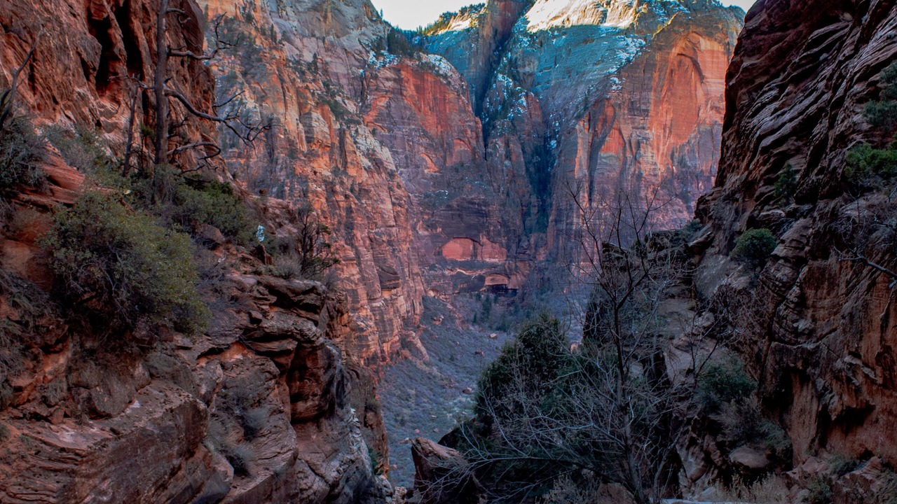 Photo of Others in Zion National Park East Entrance