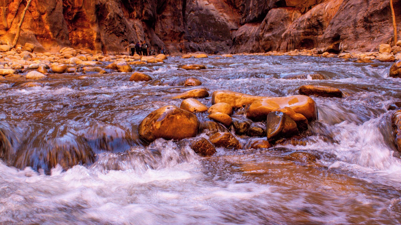 Photo of Others in Zion National Park East Entrance
