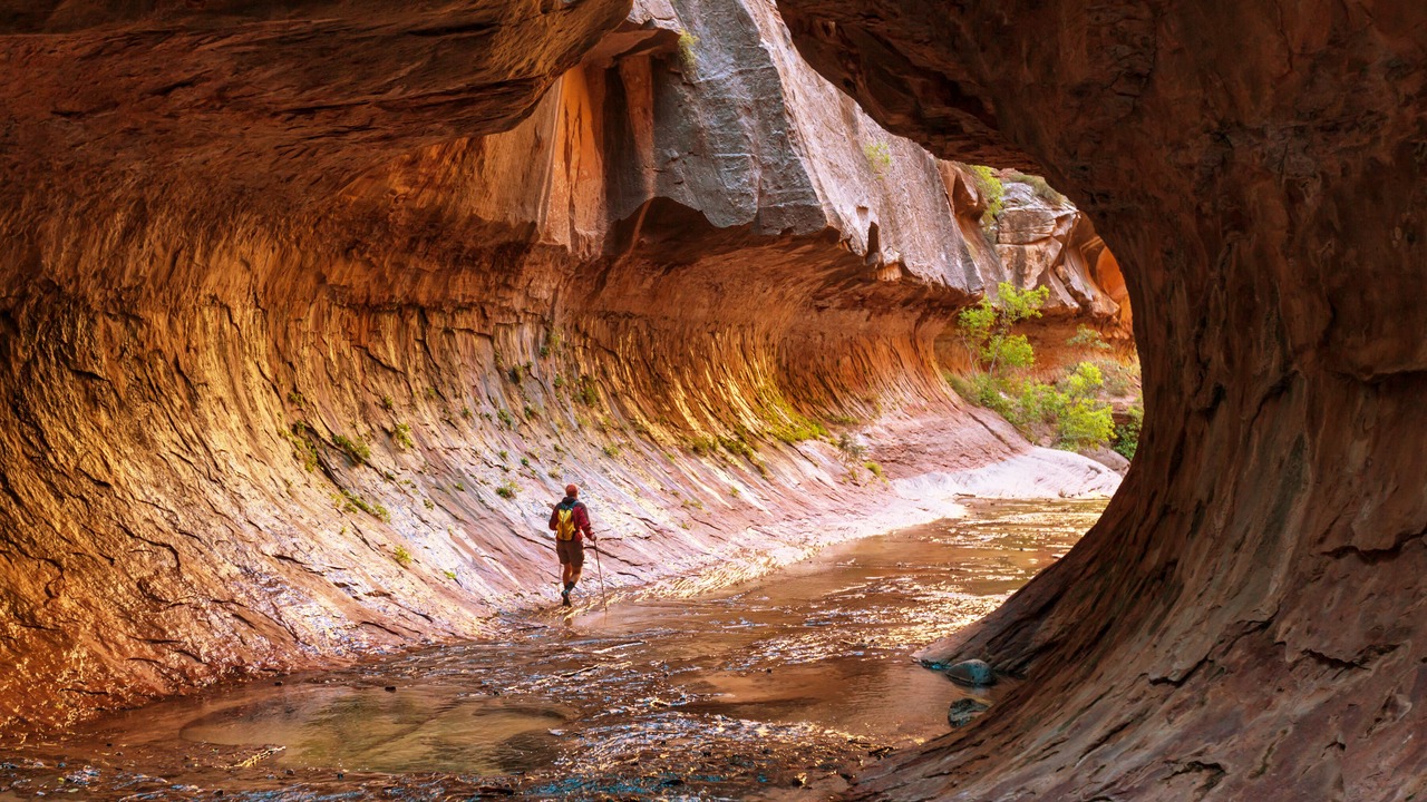 Photo of Others in Zion National Park East Entrance