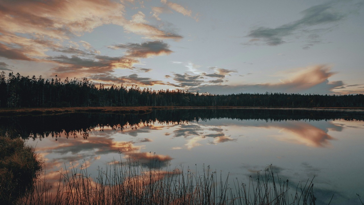 Photo of Outdoor in Lakeport
