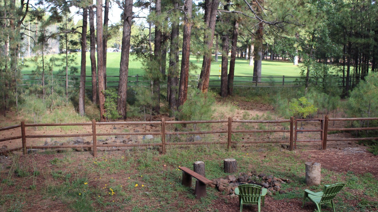 Photo of Outdoor in Pinetop