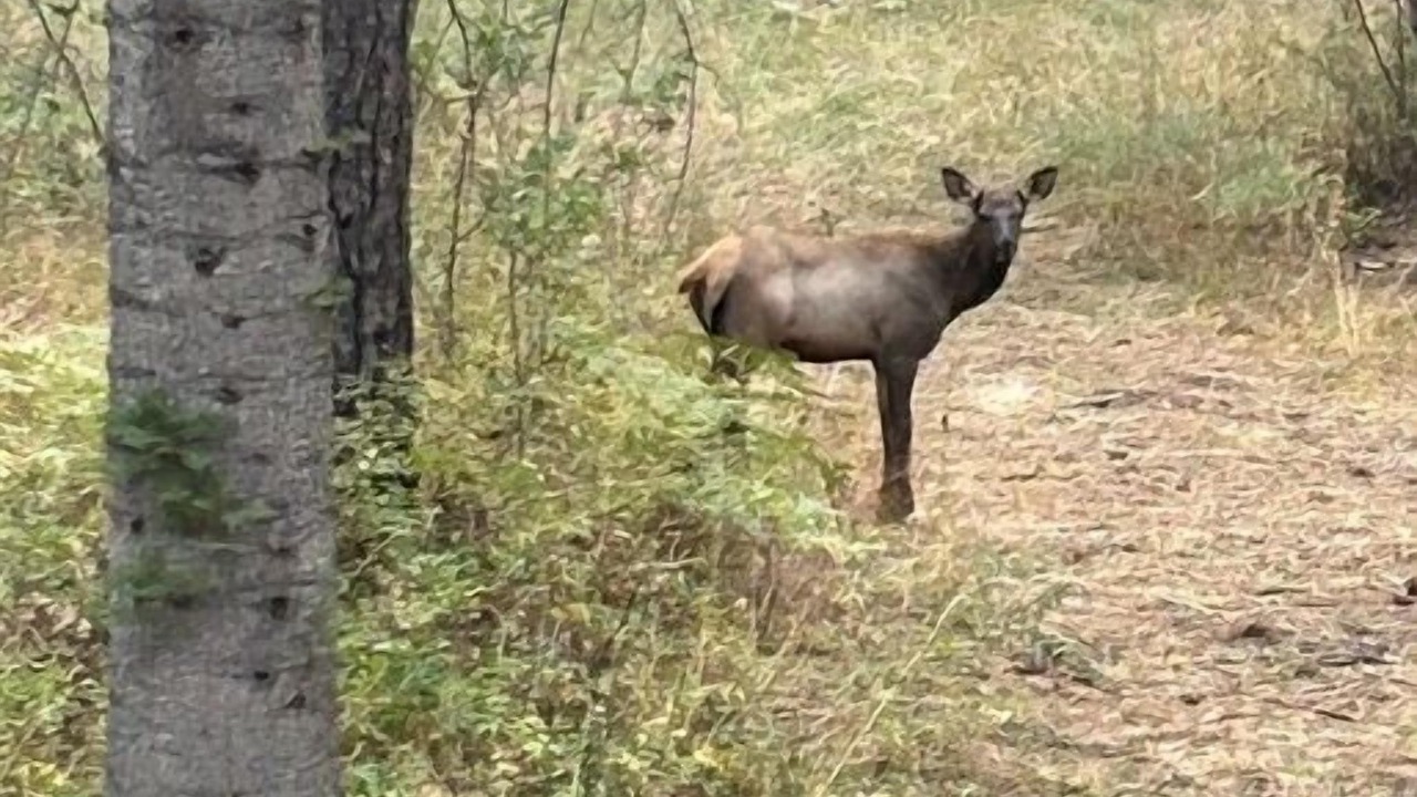 Photo of Others in Garden Valley