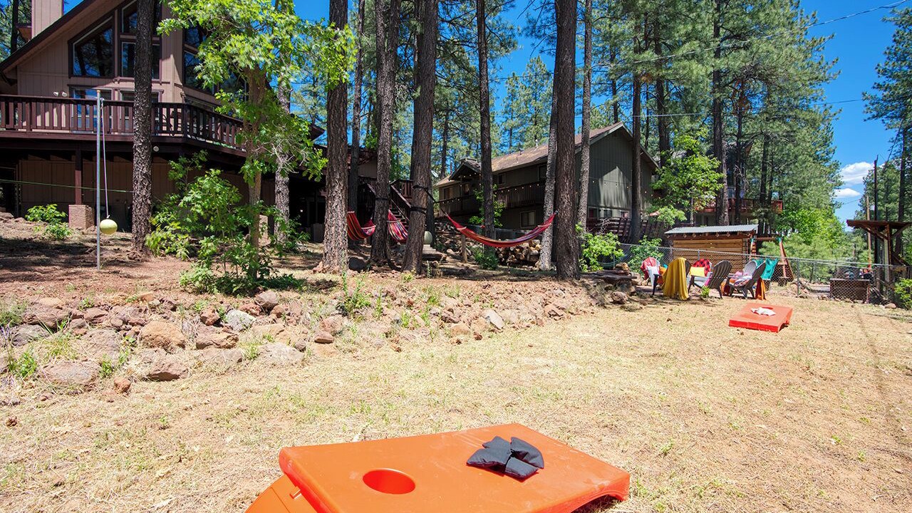 Photo of Outdoor in Munds Park