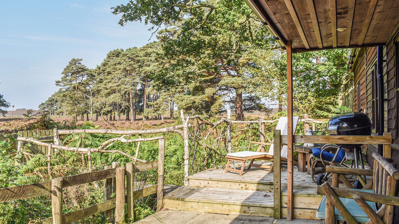 Photo of Outdoor in New Forest District