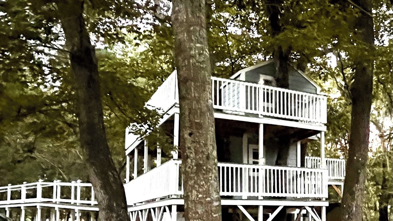 Photo of Outdoor in South Carolina Lowcountry