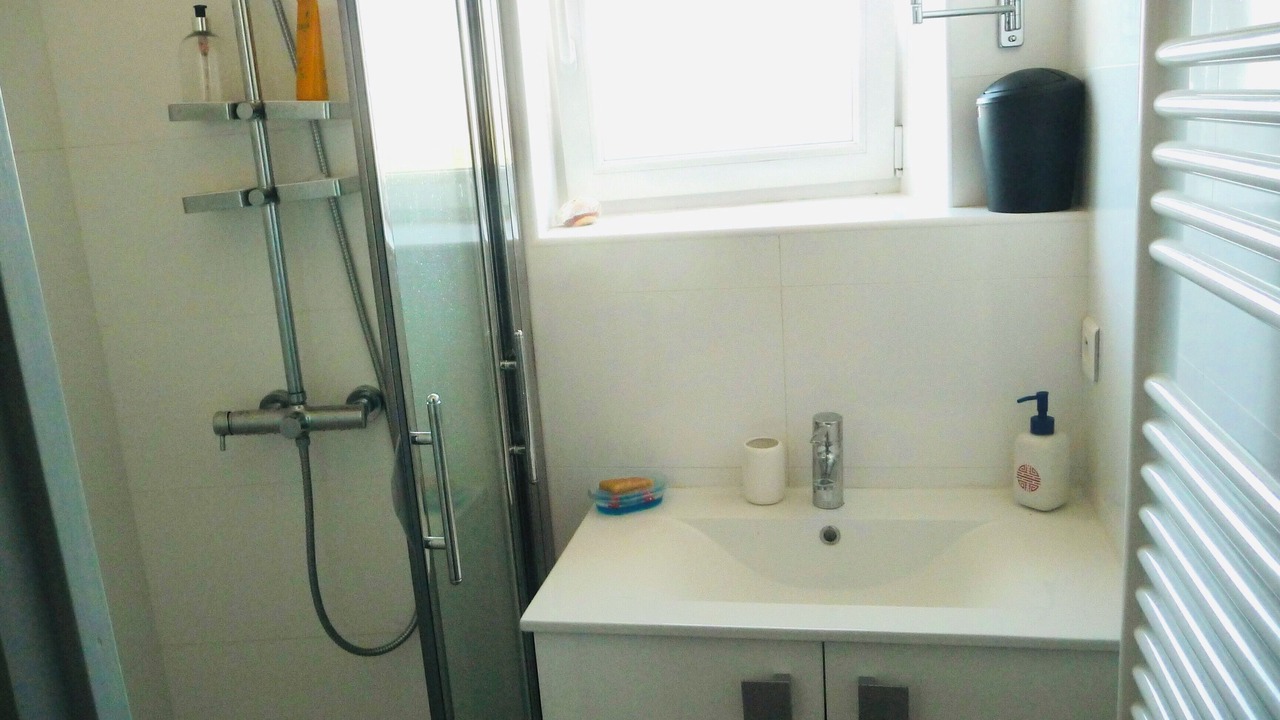 Photo of Bathroom in Porticcio