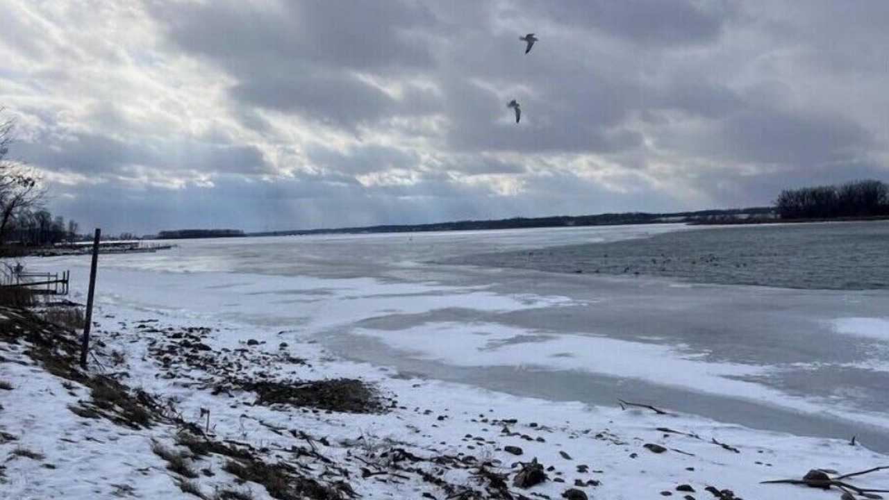 Photo of Others in Cayuga
