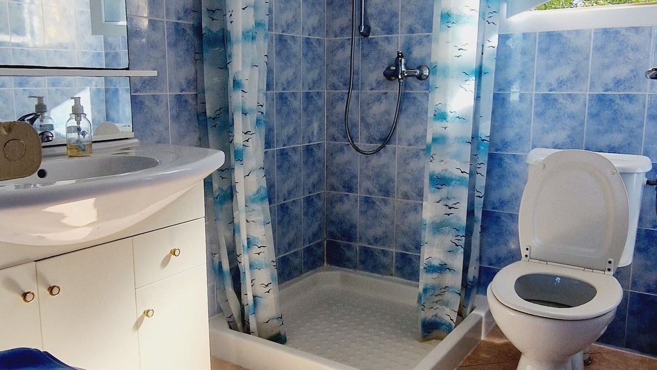 Photo of Bathroom in Sagone
